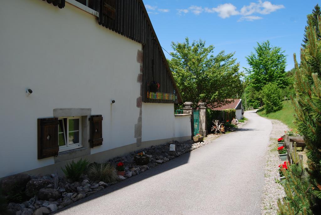 Chambre D'Hotes Kieffer Le Grand Bienfaisy Remiremont Exterior photo